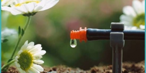 Kako napraviti automatsko zalijevanje u stakleniku